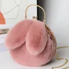 Niedliche Plüsch Kaninchen -Crossbody -Taschen für Frauen koreanische Version Geldbörsen und Handtaschen Girls Ohr Schulter Messengerbeutel 240423