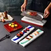 Plattor japansk stil lång sushi platta stenmönster rektangulär fågelförbränning kreativ platt vintage keramisk grill