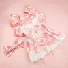 Dresses Pet Clothes Spring Summer Puppy Kitten Flower Pattern Cute Skirt Small and Mediumsized Dog Slip Dress Sweet Hairpin Yorkshire