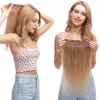 Piece Clip de 8 "24" en Extensiones de cabello de una pieza 100% Real Human Cabeza de cabello Clip recto en color rogado natural marrón rubio para mujeres