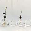 Vasos vaso de abacate transparente hidroponia vaso vaso de sementes de sementes de sementes de semente de semente de vaso de aromaterapia com garrafa de jardinagem amantes