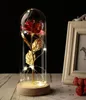 Party Wedding Valentine Gift Rose in Glass Dome Beauty Rose Forever Preserved Special Special Romantic Gift5165846