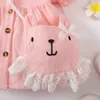 Girl's Dresses 2pcs 3-24M Newborn Baby Girl Pink Dress Cute Toddler Baby Giel Princess Dress Set New Fashion Baby Girl Clothes d240425