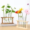 Vases Fases Frame en bois Vase Hydroponic Vase en verre de propagation de propagation Station de plante Solder Rooms Office Decor