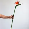 Dekorativa blommor 5st Artificial Bird of Paradise 22Im Fake Greenery Plant Simulation Silk Bouquet