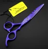 Ciseaux de cheveux Livraison gratuite Jason HD-24 Laquer violette 5,5 pouces / 6,0 pouces Coupes / éclaircissements Ciseaux6cr 62HRC Ciseaux de cheveux Q240425