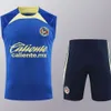 Maglie da calcio per tracce maschili New Jersey per la stagione 24-25, Messico America America Short Shorted Training Jersey, Top Top di calcio, Set per adulti