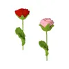 Fleurs décoratives crochet fleur de rose fini à la main tricotée unique faite à la main pour la fête de mère cadeau de graduation