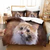 Sets Maine Coon beddengoedset 3D Gedrukt Mooie kat dekbedovertrek Coverter Queen King Single Size Home Textile Slaapkamer Decor