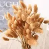 Fiori decorativi 30 steli coda di fiori secchi piante naturali naturali brancone decorazioni per la casa accessori pografia