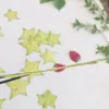 Dekorativa blommor 5st torkad pressad exopi färgade karambola frukter skivor plantera herbarium för po ram telefon fall bokmärke scrapbook hantverk