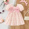 Mädchenkleider kleine fragmentierte rosa große Bogenkleid Kleid neue Sommermädchen Baby Bubble Ärmel Süße Mädchen Kinderkleidung D240425