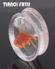 Clear Goldfish ear plug tunnels Water tunnel Stretcher Fish flesh tunnel 818mm body jewelry piercing ear stretcher plugs1197947
