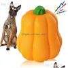 Dog Toys Tuggar Pet Pumpkin Toy för små stora hundar Halloween Interactive Chew Outdoor Training Labrador French Bldog Accessories DHCPB