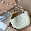 Bolsa de bolsa de alta definição de couro versátil sardinha tecida feminino avançado bolinho de bolsa