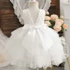 Robes de fille robes de filles fleures pour la fête de mariage sans manches sans manches en dentelle d'été robe princesse 2-6 ans