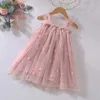 Girl's Dresses Hot New Baby Girl clothes High Quality Flower Embroidery Halter Mesh Little Girls Dress Cute Baby Dress Sweet Princess Frock d240425