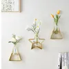 Vazen muur gemonteerde hydrocultuurglas vaas creatief metalen bloem arrangement eetkamer woonkamer tv achtergrond muur ornament hanger