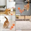 Contrôlez Pet Smart Cat Toy Electric Bounce Bounce Cat Ball Silicone Cat Interactive Toys Selfmoving Kitten Toys for Indoor Playing