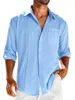 Men's Casual Shirts 2024 Autumn Shirt Loose Long Sleeve Plus Size Polo Collar Top Trendy Men