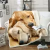 Ställer in Golden Retriever Dog Filt Sherpa Bed Filtar 3D Animal Dog Throw Filt Soft Plush Bedge Bedoads Bedding 150x200cm