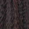 かつらの長い巻き毛合成ウィッグハイライトcurly合成髪の頭皮のかつらアフロ巻き巻きウィッグ女性