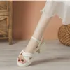 Sandales de style fée à semelles épaisses chaudes pour femmes pour femmes gâteau d'été haut de gamme avec une sangle surélevée à semelle surélevée chaussures de femmes sandles talons 240228