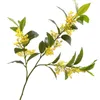 Flores decorativas do ramo artificial não comandante Osmamanthus Fragrans com pequenas folhas verdes amarelas para casa