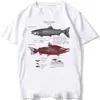 T-shirt maschile martello tubaro anatomia t-shirt n verro homens manga curta hip hop praia estilo animale menino casual tops moda branca carta t t240425