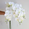 Biały faux prawdziwy dotyk phalaenopsis orchidea sztuczna wiosenna roślina stemcencyjna