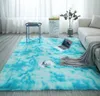 Dywany szary dywan farbowanie pluszowe miękkie do salonu sypialnia maty podłogowe sypialnia dywanika wchłaniania wody15556171