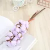Fleurs décoratives 10pcs / lot tête simple tête de coton séché naturellement bouquet de fleurs artificielles pour le salon de salon jardin de mariage