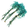 Decoratieve bloemen 3 bundels gedroogde gypsophila -boeketten Bunches Decors