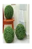 Dekorative Blumen Kränze künstlicher Ball Hanging Blatt Effekt Grüne Grasdekor DIY Mailand gefälschte Blume Bonsai 81318cmdecorativ9002251