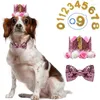 Hundkläder 1 Set Bib Headgear NeckerChief Utmärkt All-Matched Pet Hat Scarf Happy Birthday Party Supplies Decor