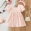 Mädchenkleider kleine fragmentierte rosa große Bogenkleid Kleid neue Sommermädchen Baby Bubble Ärmel Süße Mädchen Kinderkleidung D240425