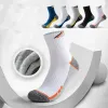 SOCKS Professionele tennis katoenen sokken handdoek bodem sportkleur matching elite heren buisbedrijf running basketbal sokken verdikt