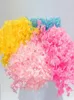 Decorative Flowers Wreaths 1 Box Colorfast Dried Exquisite Natural Realistic DIY Hydrangea Heads Wedding Favors4122173