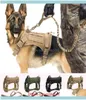 Tagid Card Pet Leverty Home Gardenactical Military K9 werkkleding Harnas riem ingesteld Molle Dog Vest voor middelgrote grote honden 5974152