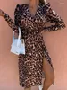 Casual Dresses Dress Spring Young V-neck Leopard Print Long Sleeve