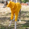 Sweaters Warm Autumn Pet Sweater Stylish Turtleneck Italian Greyhound Clothes Whippet Clothing