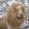 Dog Apparel Cute Lion Mane Wig Pet Small Cats Costume Cap Hat For Cat Dogs Fancy Cosplay Toy Supplies