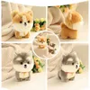 Bambole peluche kawaii orsacchiotto animali domestici lifetti cucciolo soffice bambola morbida carina chow chow pomerania corgi Yorkie giocattoli peluche con regalo di fascino per girll2404