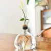花瓶アボカド花瓶透明ガラス水耕栽培植物花瓶の種子成長キット種子スターター花瓶アロマセラピーボトルガーデニング愛好家