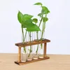 Vases Fases Frame en bois Vase Hydroponic Vase en verre de propagation de propagation Station de plante Solder Rooms Office Decor