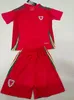 2024 2025 Wales Fußballtrikot