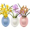 Vasos vaso de flores decoração de decoração de planta de silicone aditivo pegajoso e fácil removível parede e acessórios de bridge diy