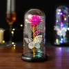 Vasos Presente de Luz de Luz Rosa Artificial Presente dos Namorados Eternal Rose Night Light Wedding Guest Gifts Roses Ornamento de 14 de fevereiro Notícias de presente