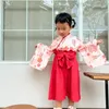Conjuntos de roupas infantil garotas imprimem mangas compridas camisolas e calças definidas 2 roupas pacote simples