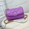 Classic Flap Lambskin Quilted Makeup Vanity Shoulder Bags Gold Chain Crossbody Cosmetic Case Handbags Black White Silver Pink Purple Purse 23X7X16CM